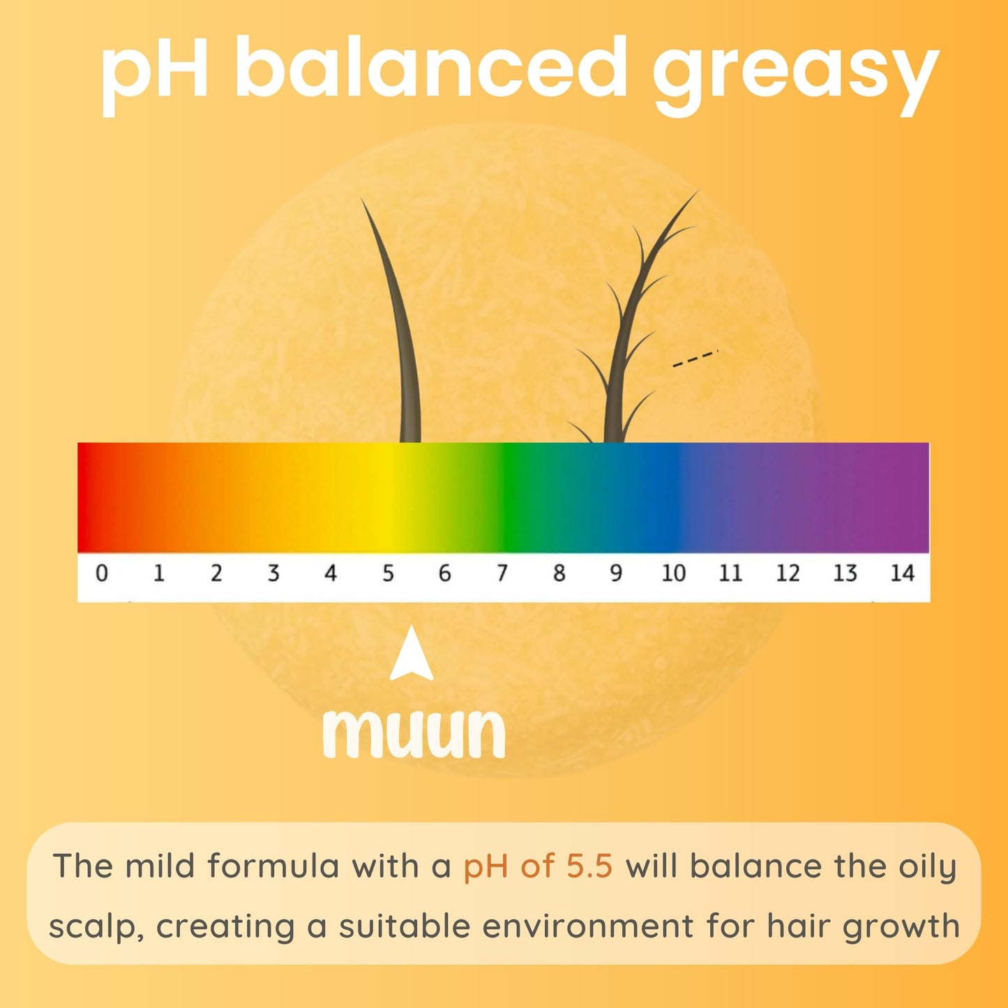 Muun Ginger Shampoo and Conditioner Bar Pack 3