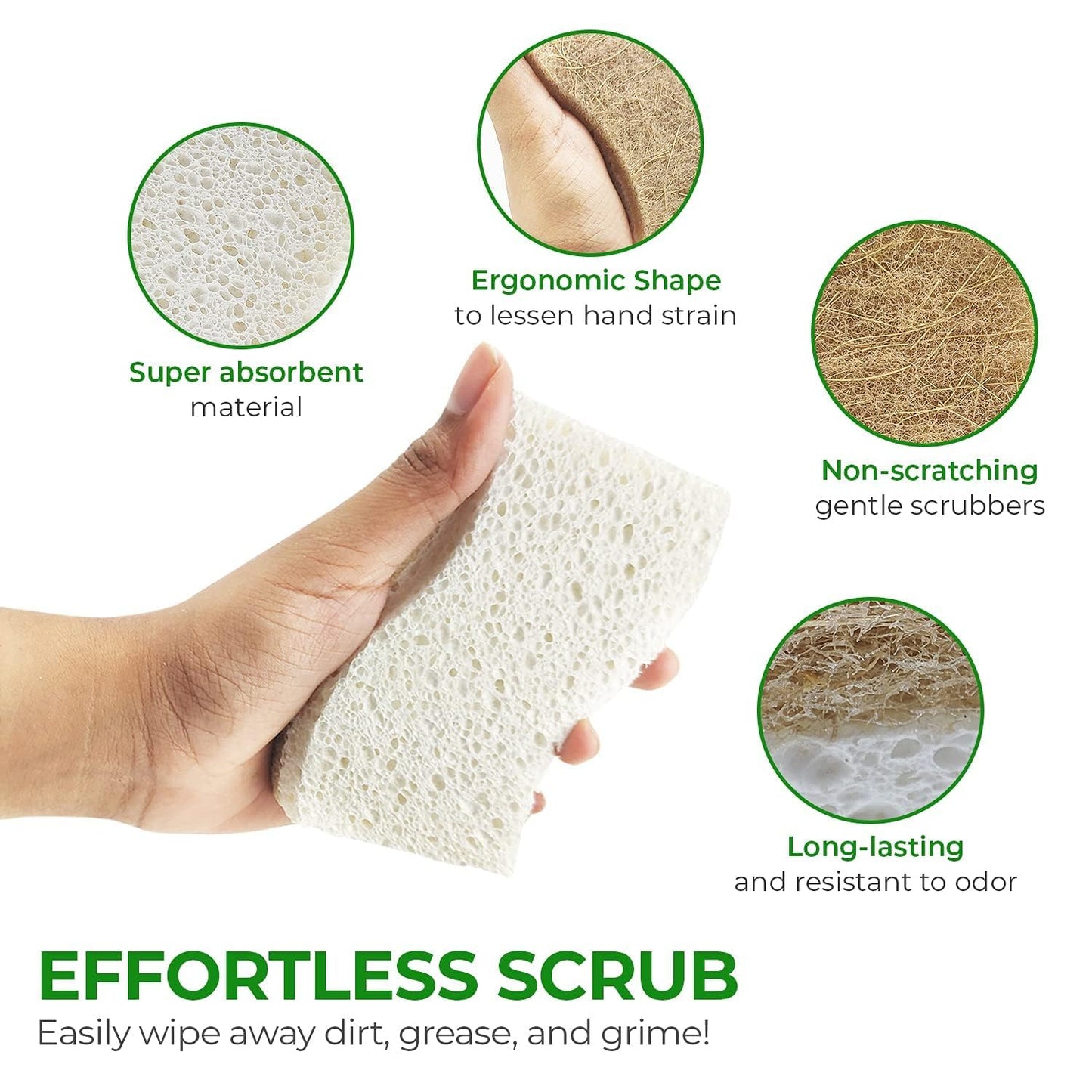 Eco Friendly Sponges for Dishes