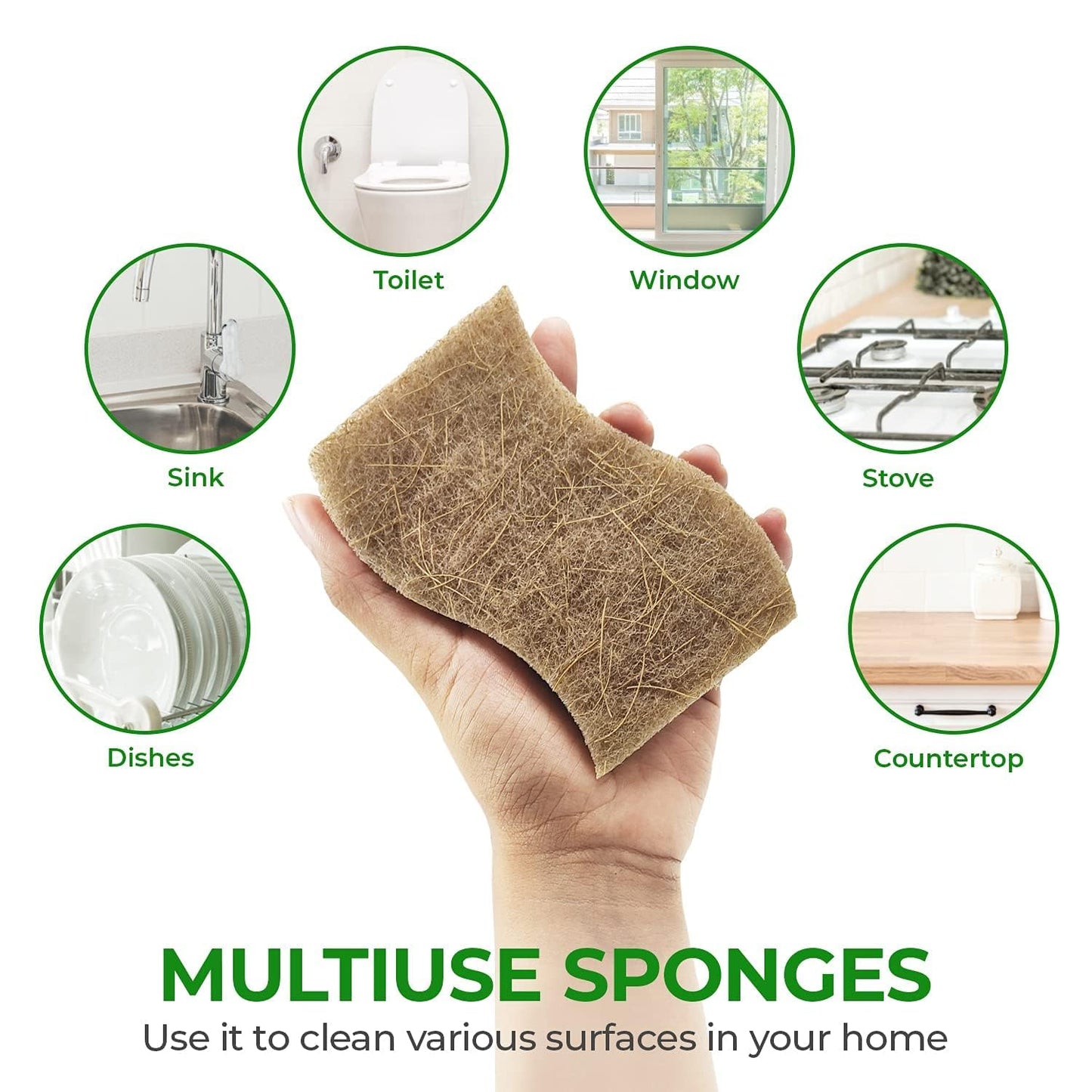 Eco Friendly Sponges for Dishes