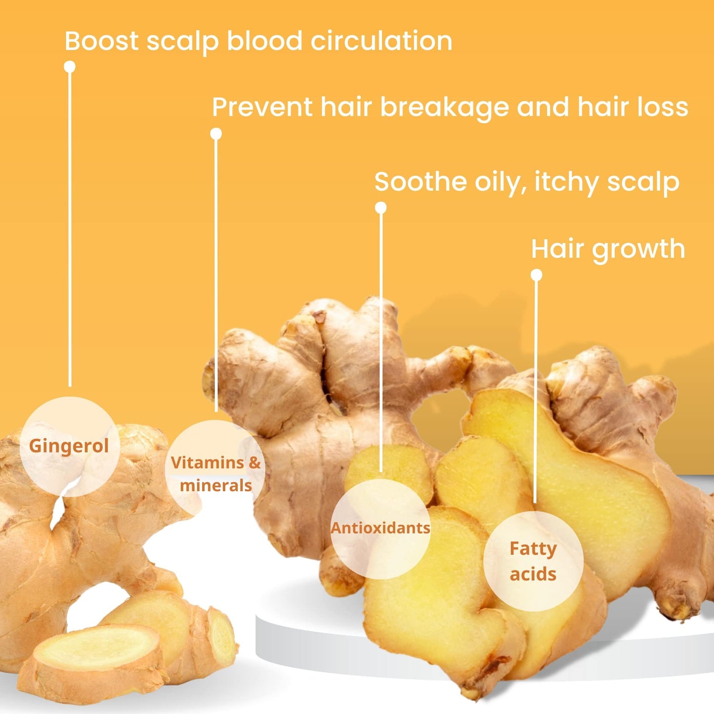 Muun Ginger Shampoo and Conditioner Bar Pack 3