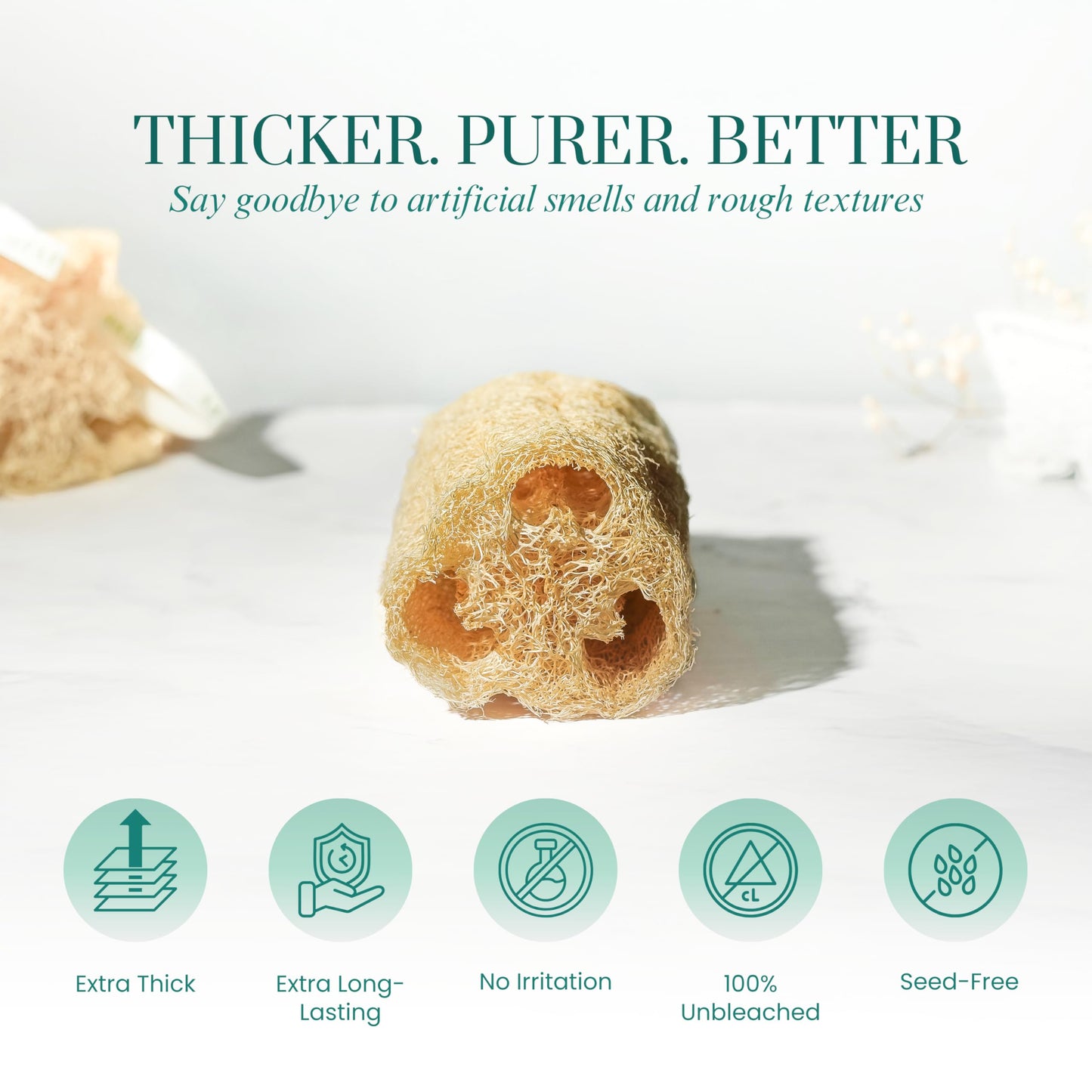 Natural Loofah Sponge