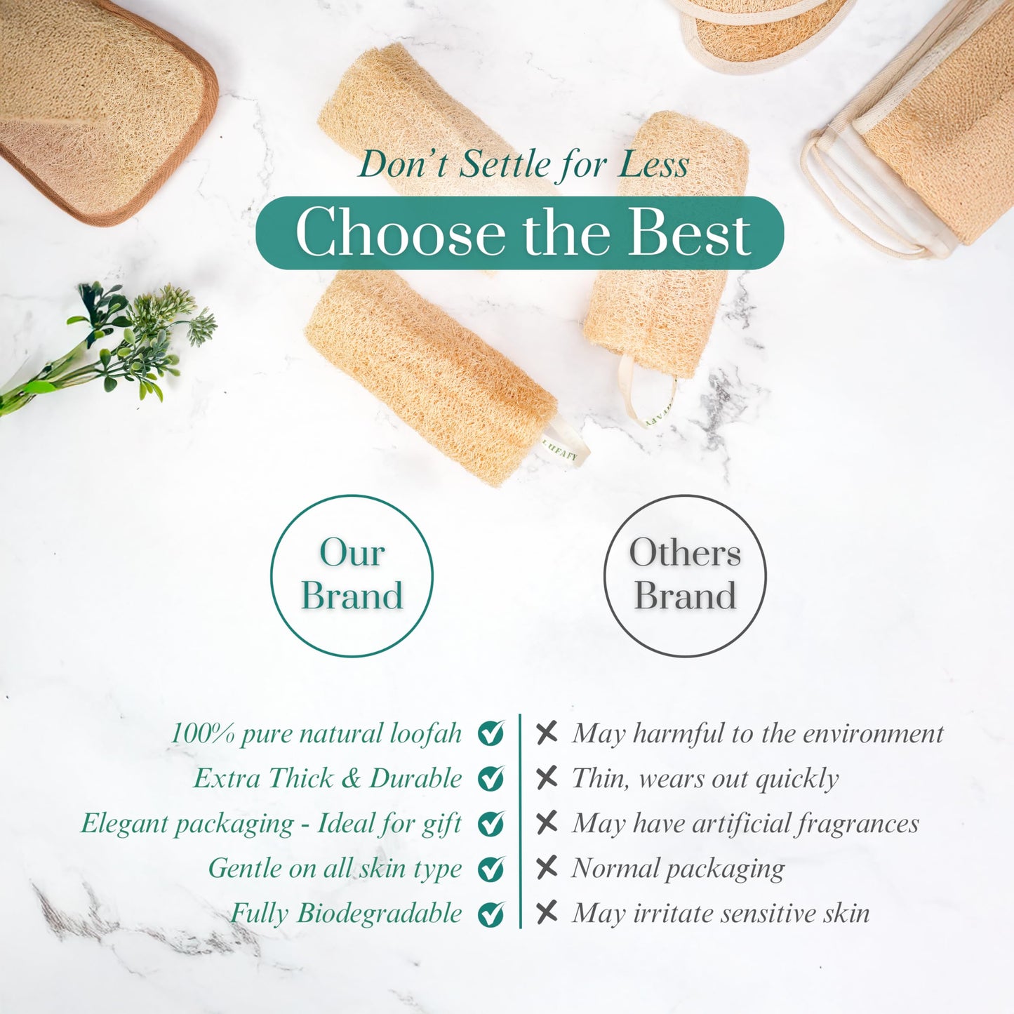 Natural Loofah Sponge