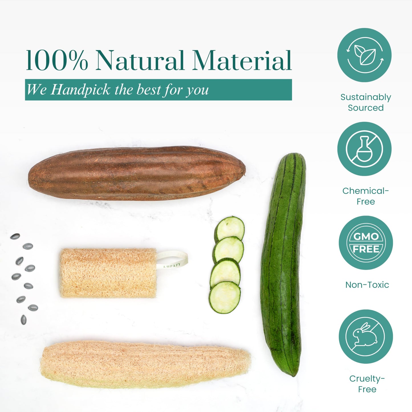 Natural Loofah Sponge