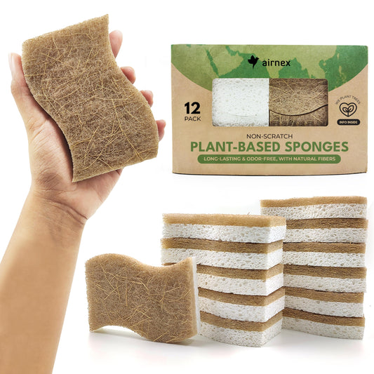 Sponges for Dishes, Eco Friendly