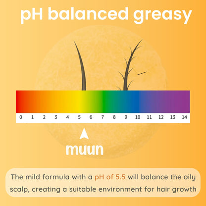 Muun Ginger Shampoo and Conditioner Bar Pack 3