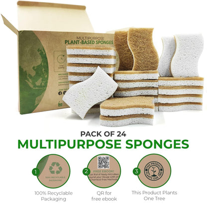 Eco Friendly Sponges for Dishes