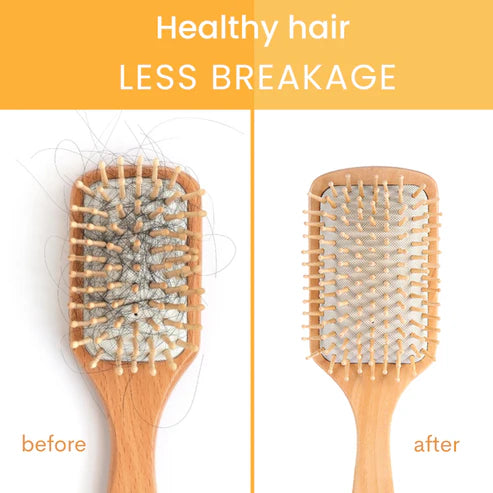 Shampoo and Conditioner Bar