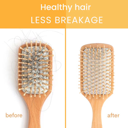 Shampoo and Conditioner Bar