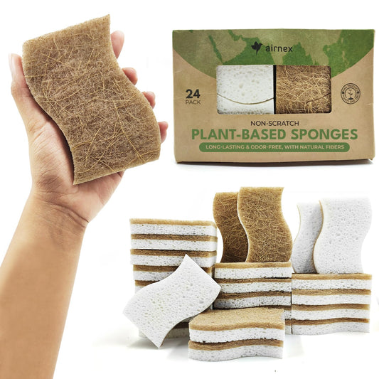 Eco Friendly Sponges for Dishes