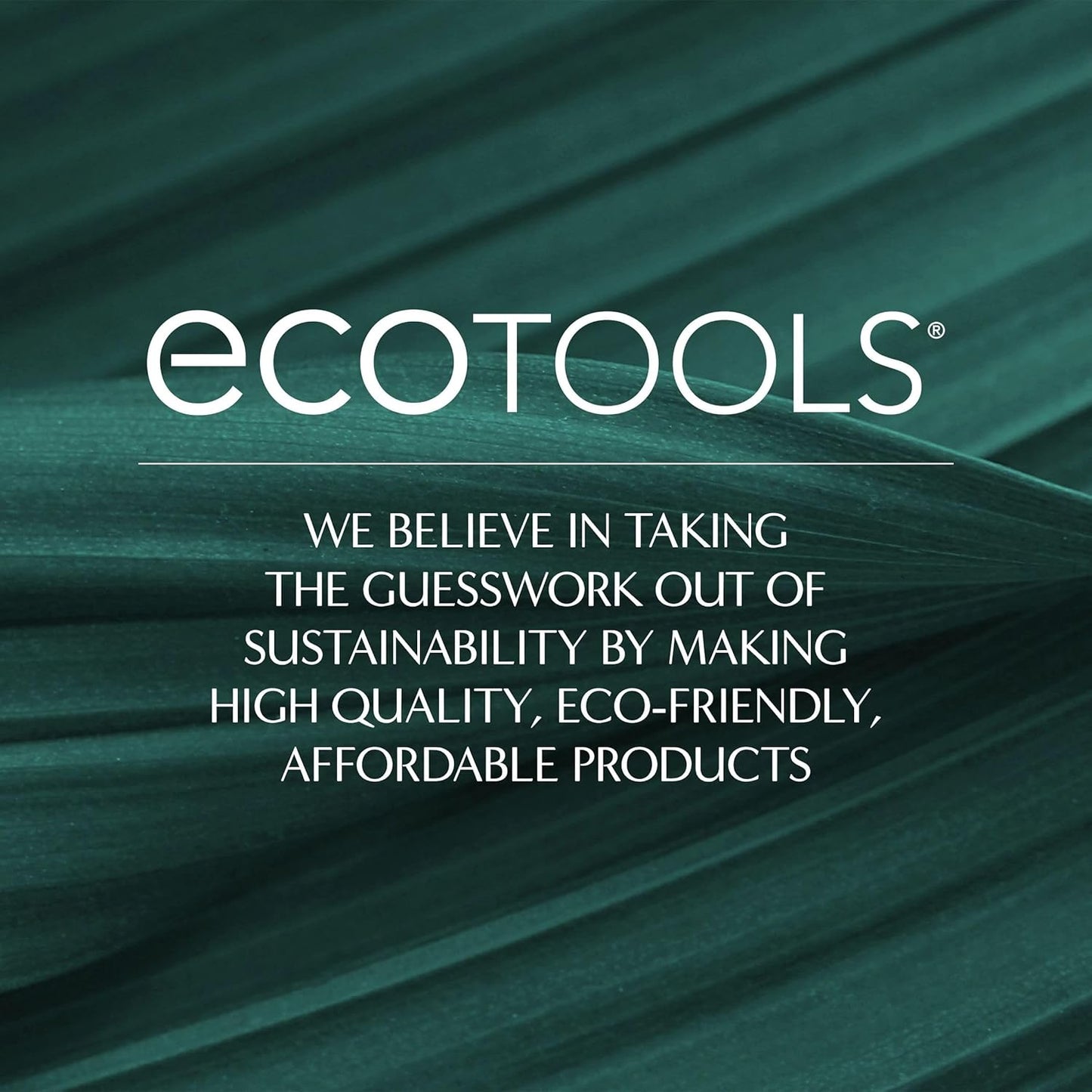 EcoTools XL Makeup Brush + Sponge Shampoo, Removes Makeup, Dirt, & Impurities From Makeup Brushes & Makeup Blending Sponges, Fragrance-Free, Vegan, & Cruelty-Free 16 fl. oz./473 ml, 1 Count, Clear