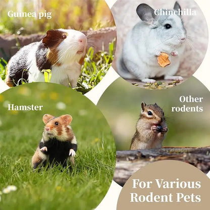 Wooden Foraging Puzzle Feeder – Interactive Toy for Small Pets