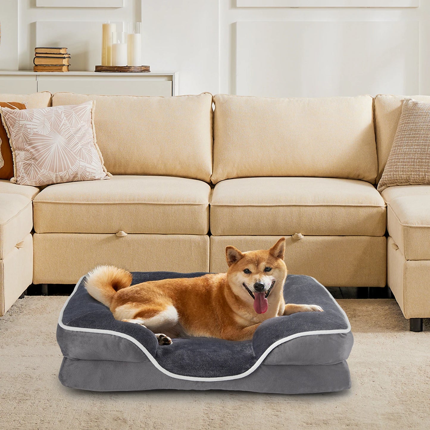 Orthopedic Memory Foam Pet Bed Washable & Removable Cover for Small Dogs & Cats