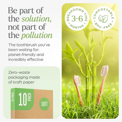 10-Pack Biodegradable Bamboo Toothbrushes, Compostable & Natural Wooden Bristles